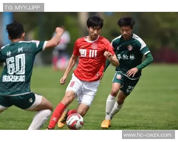 武汉篮球队实力强劲荣登全国篮球实力排行榜第七名